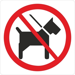 Hund  forbudt